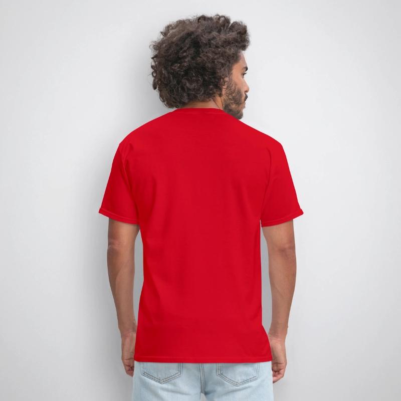 Czech Republic National Flag For