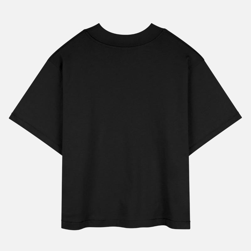 Rock Collecting Earth Rock Collection