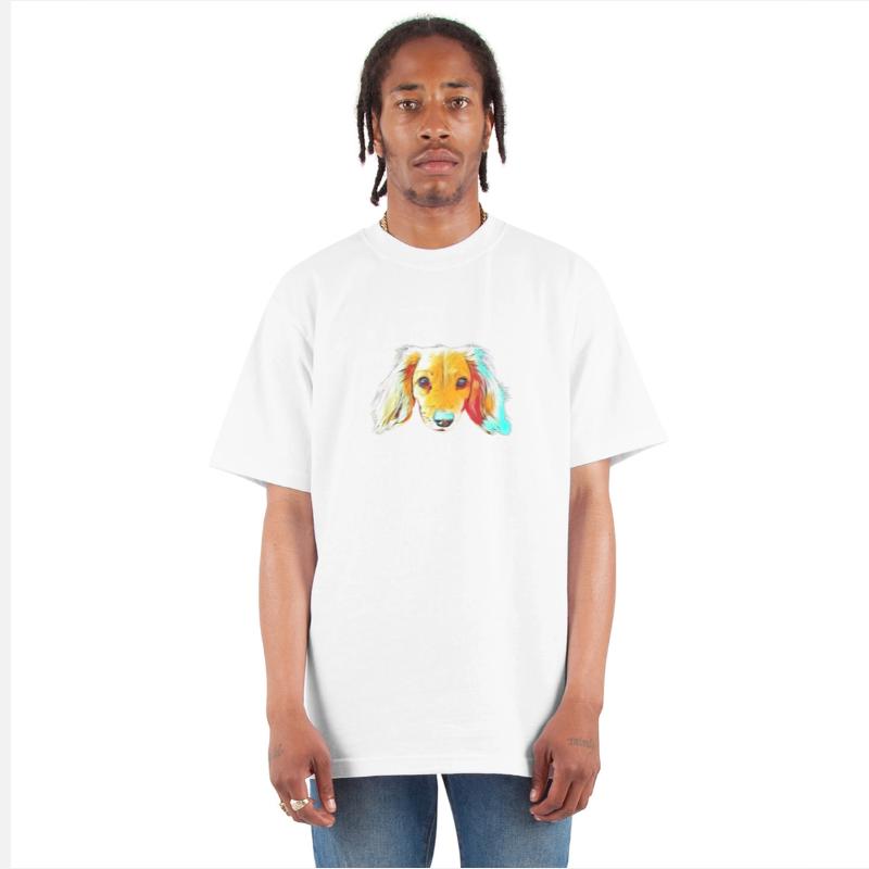 Colorful Cute Dachshund Dog Face Adorable Dog For