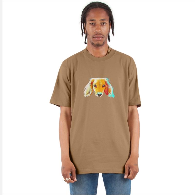 Colorful Cute Dachshund Dog Face Adorable Dog For