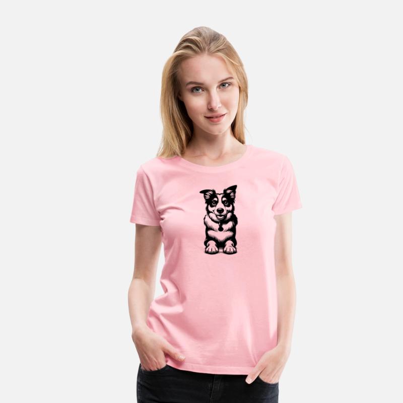 Cute Border Collie Dog Cute Dog Portrait