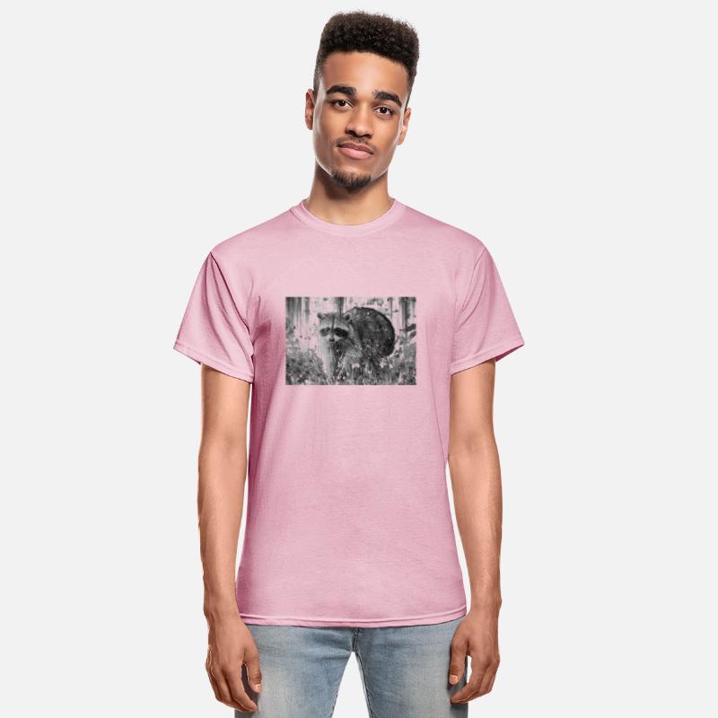 cute racoon walking through wooded forest