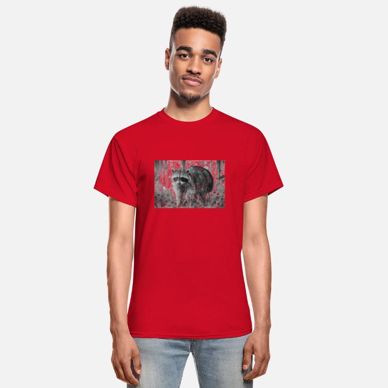 cute racoon walking through wooded forest