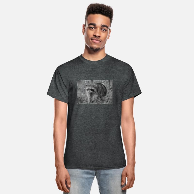 cute racoon walking through wooded forest