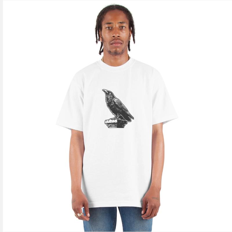 Dark Art Crows Raven Bird with Skull Bones Vintage