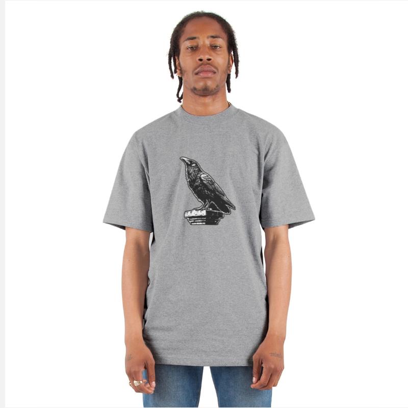 Dark Art Crows Raven Bird with Skull Bones Vintage