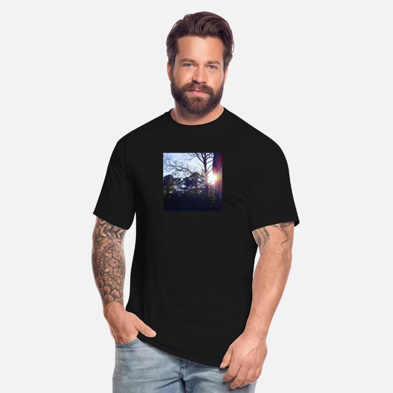 Evening Trees at Park