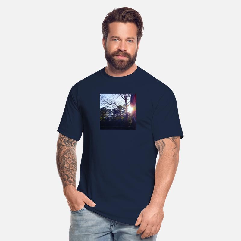 Evening Trees at Park