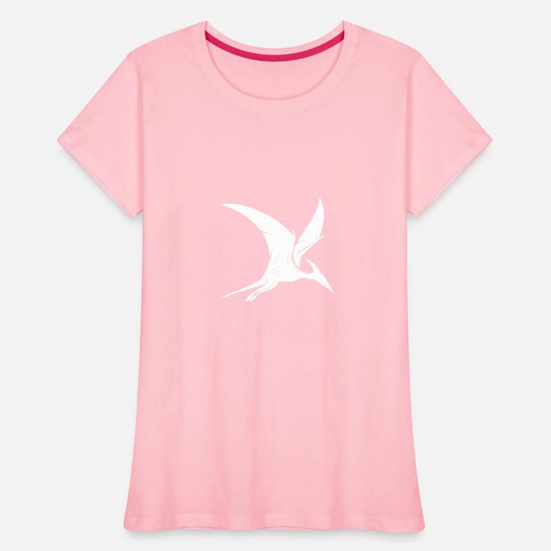 Flying Dinosaur Pteranodon Flying Dinosaur