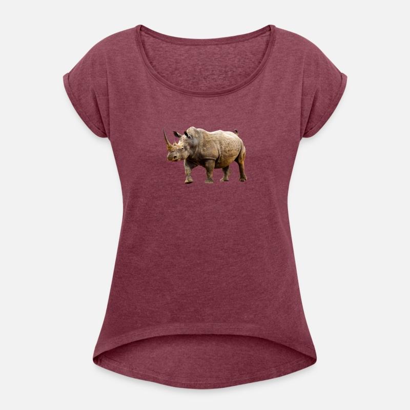 rhinoceros hippo nashorn1