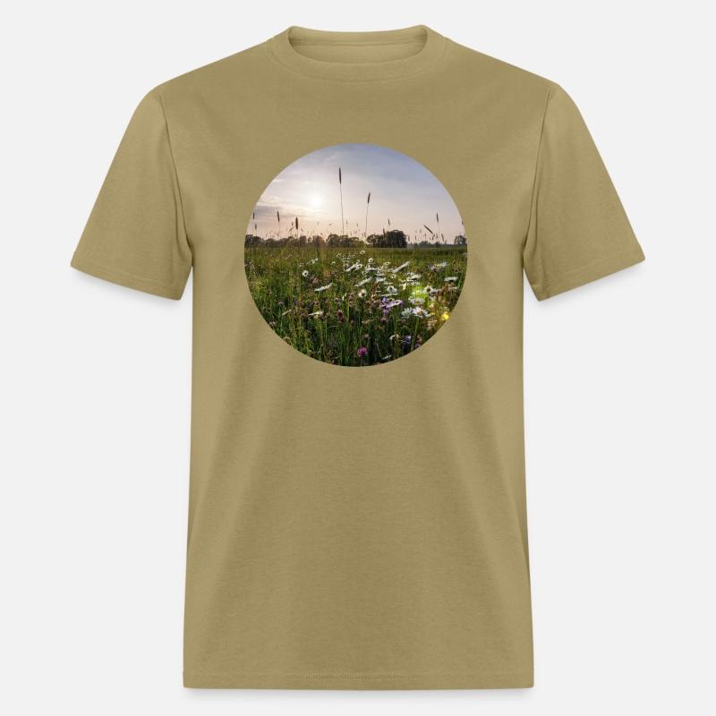 Sunny natural landscape with flowers