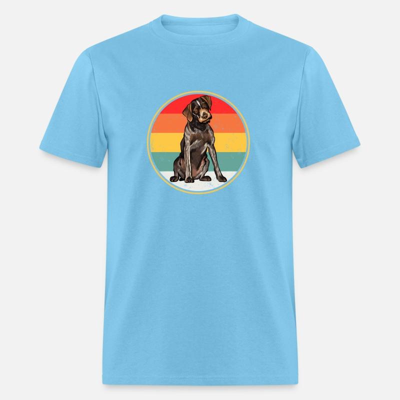 Sunset German Wirehaired Pointer Dog
