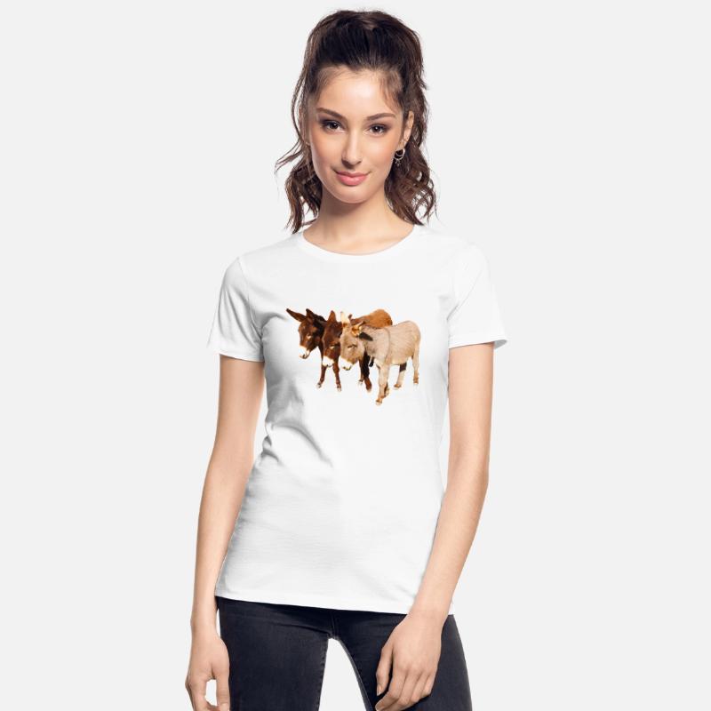 Wildlife, donkeys, Wild Burro Buddies